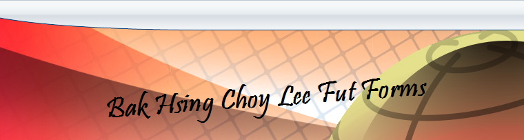 Bak Hsing Choy Lee Fut Forms